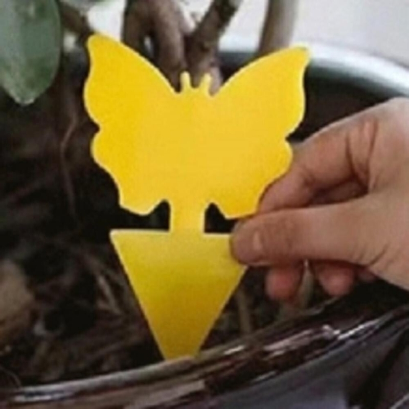 마켓Q,벼룩파리트랩 나비1p 벼룩파리퇴치 초파리트랩,벼룩파리트랩 나비1p 벼룩파리퇴치 초파리트랩,,40076,초파리없애는법 벼룩파리 모기퇴치 뿌리파리퇴치 나비1p,생활/건강 > 생활잡화