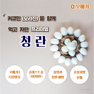 커큐민(오리진) 먹인 오메가 청란 60구