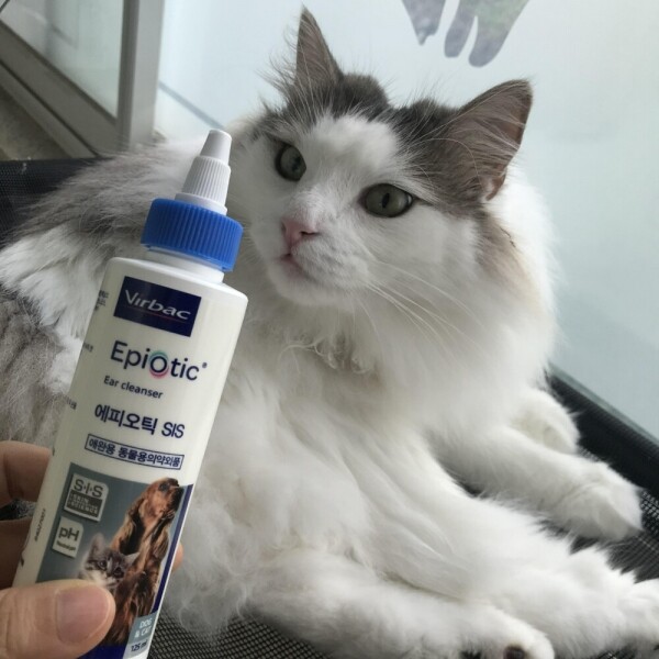 마켓Q,버박 에피오틱 강아지 고양이 귀 세정제,,버박,23664,강아지귀세정제, 고양이귀세정제, 강아지외이도세정제, 고야잉외이도세정제, 강아지귀청소, 고양이귀청소, 강아지귀관리, 고양이귀관리, 강아지귀세정액, 고양이귀세정액,가구/취미/펫 > 펫용품